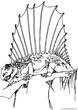l&aacute;mina para imprimir y colorear dinosaurio dimetrodon